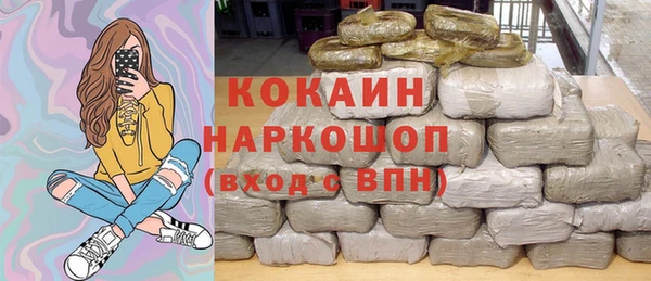 сатива Сатка