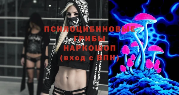 крисы Саяногорск